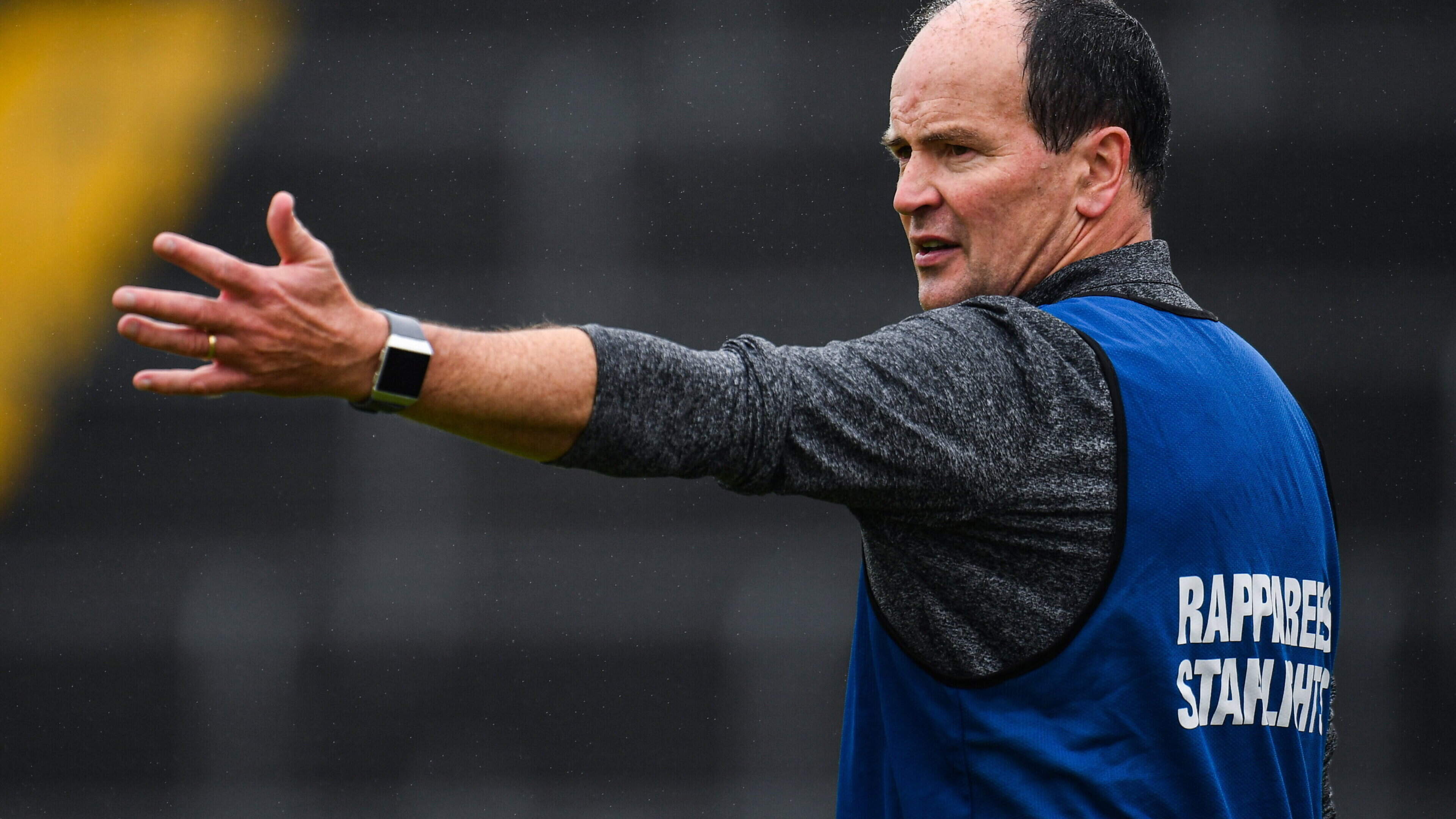 Adrian Fenlon completes sub-committee seeking next Wexford hurling manager